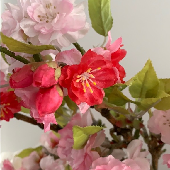 Meet your Posher, Karen - Picture 4 of 5